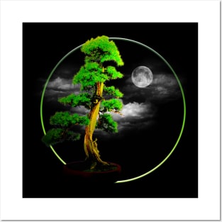 Bonsai tree (night) Posters and Art